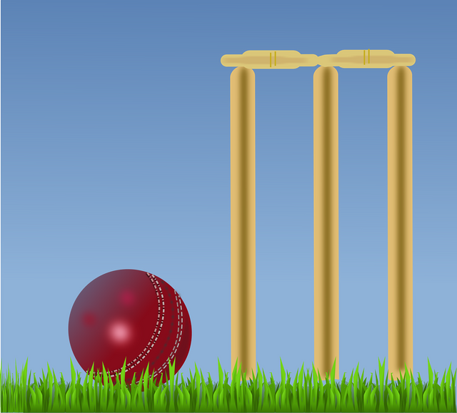 cricket-g970712333_1280.png