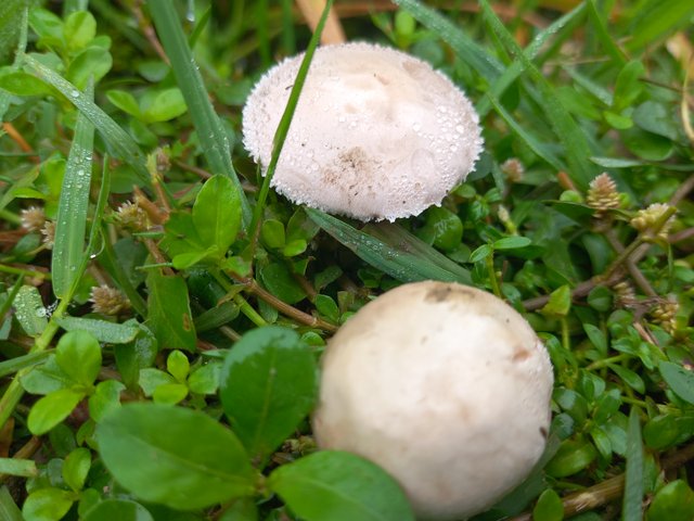 20250414_080502.jpg