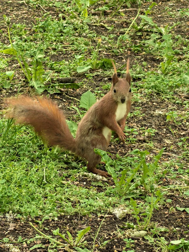 img_20250503_121210.jpg