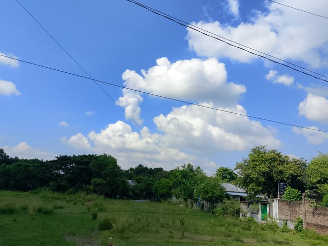 1000029490.jpg