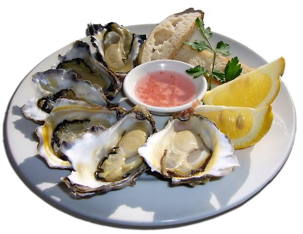 oysters-681034__480.jpg