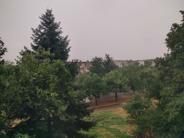 IMG_20250731_175718_HDR.jpg