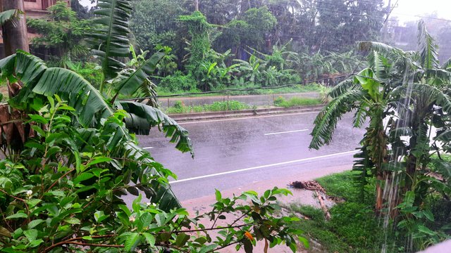 20250602_110037.jpg