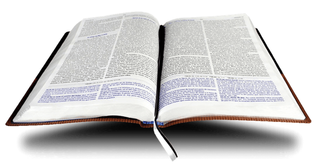 biblia-de-estudio-mision-de-dios11-fa21b0e345c68b918115187098921750-1024-1024.png