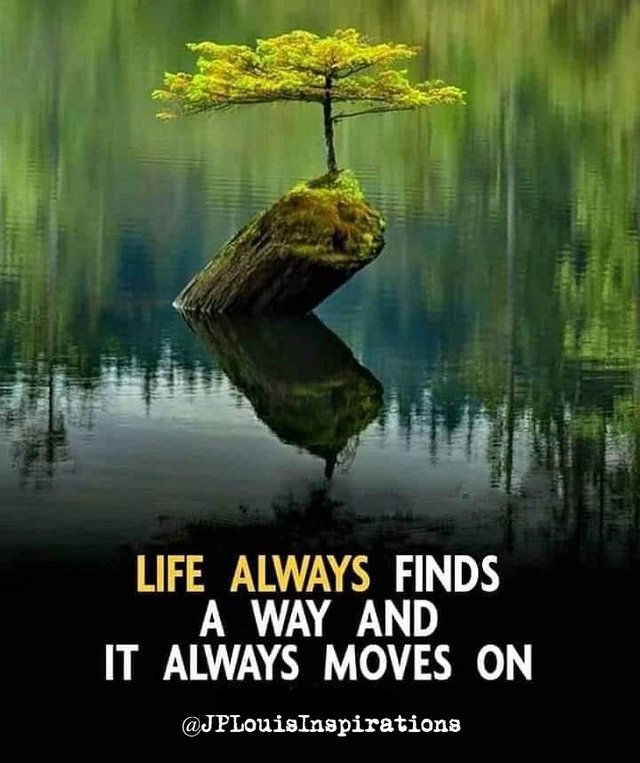 ღ Life Always Finds A Way And It Always Moves On ~.jpg