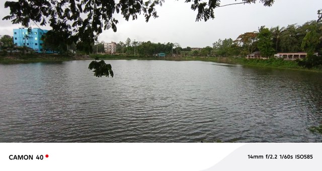 5874.jpg