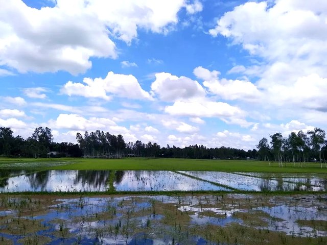 IMG_20221019_105448.jpg