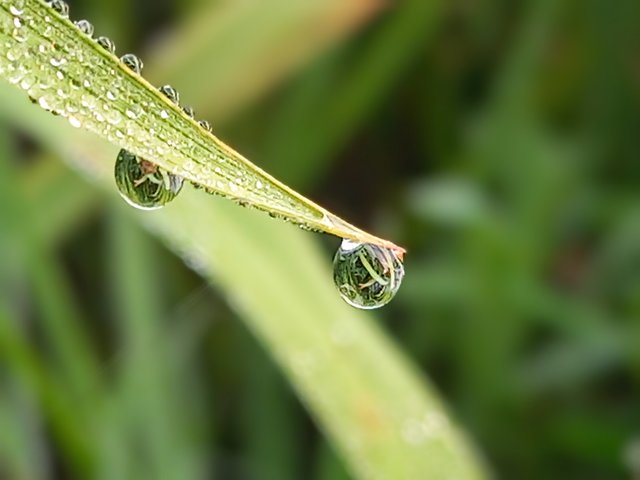 20250416_063728~2.jpg