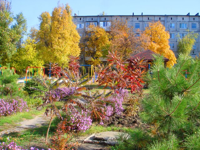 DSC03182.JPG