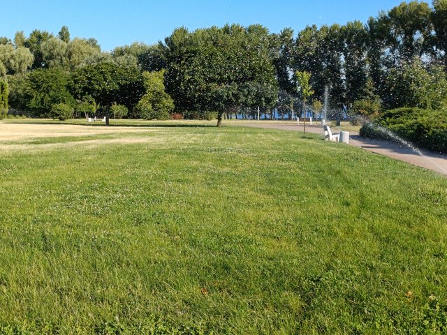 20250712_073807.jpg