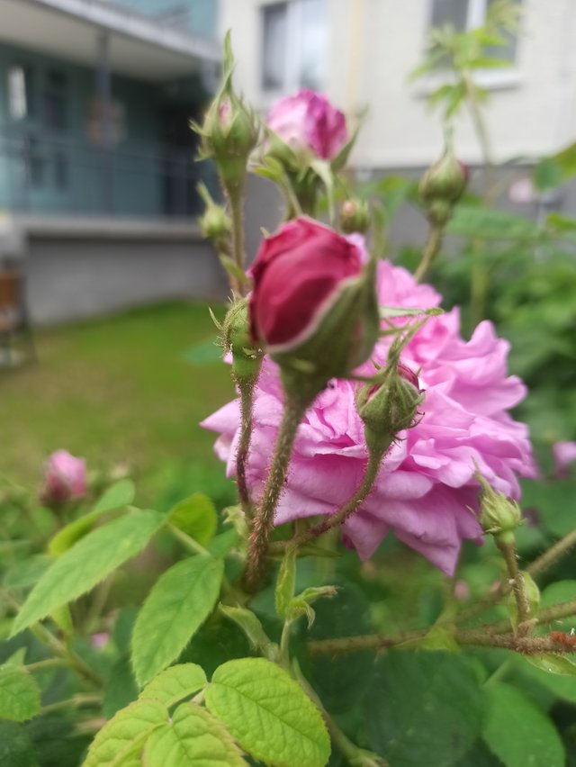 IMG_20250618_111448.jpg