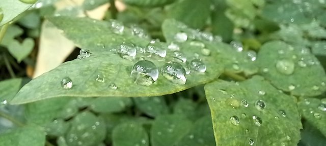 20250718_152401(0).jpg
