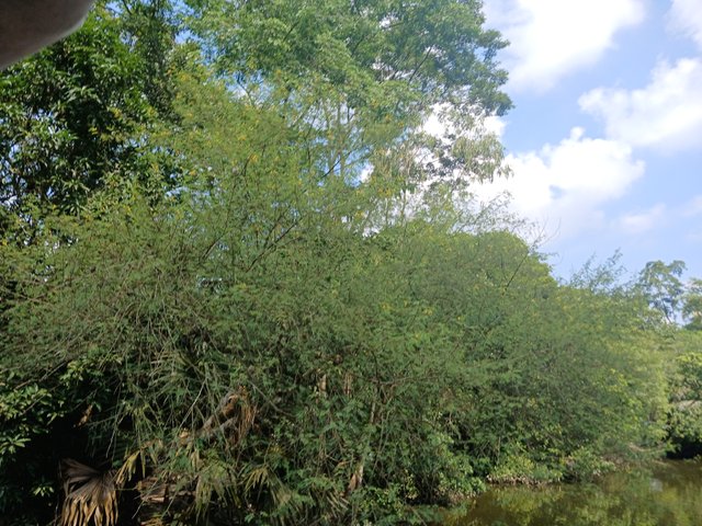 20240904_134636.jpg