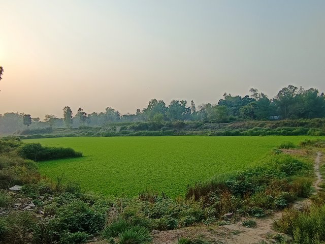 1000001480.jpg