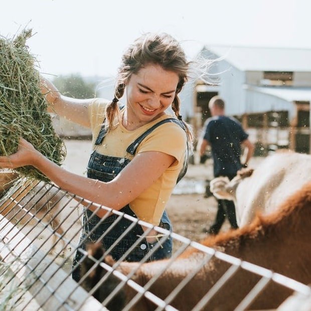 Farm-to-table-for-intro.jpg