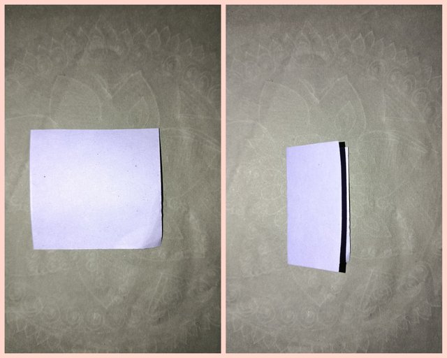 1000003956.jpg