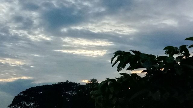 IMG_20250915_082732_859.jpg