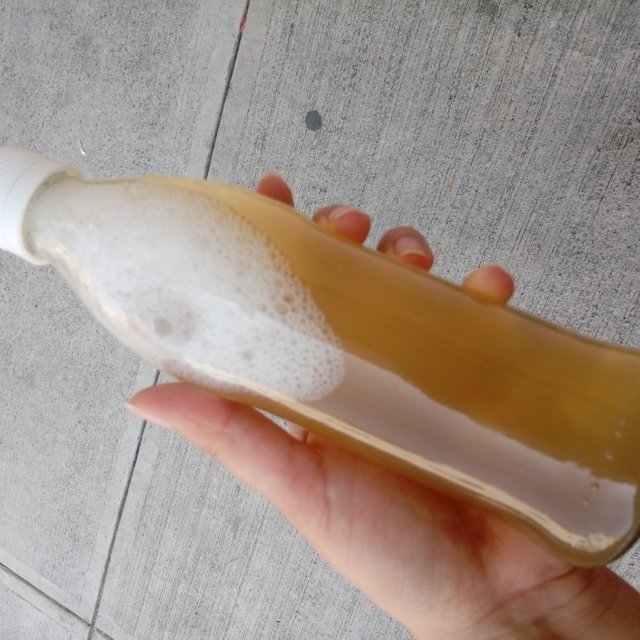 kombucha.jpg