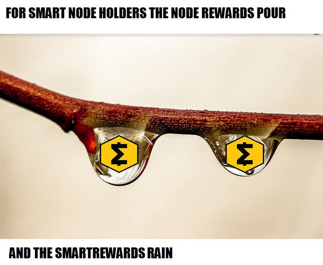 node n smartrewards1.jpg