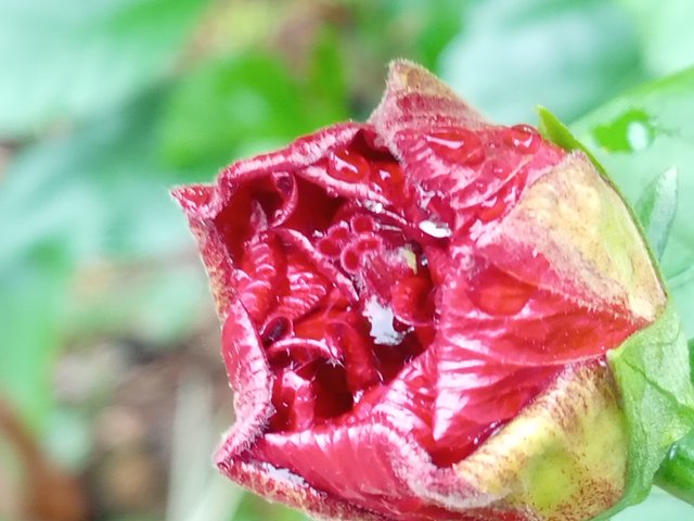 IMG_20250727_152918.jpg