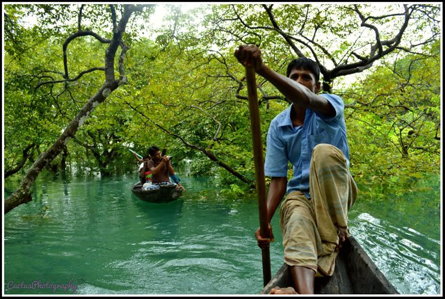 Ratargul Swamp Forest, Sylhet(9).jpg