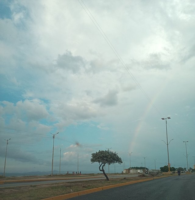 Bello Arcoiris en la Avenida.jpg