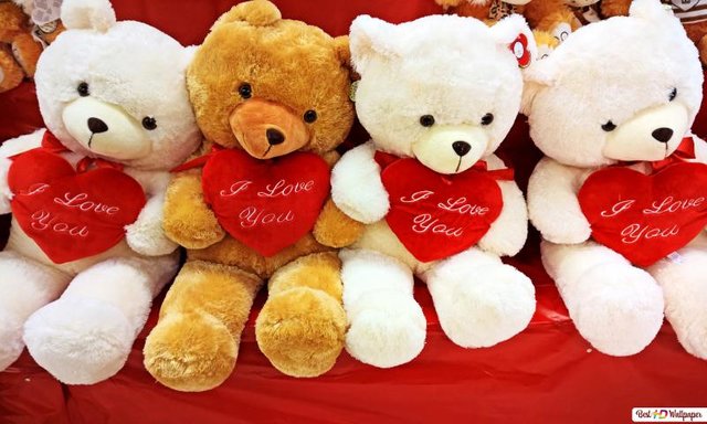 saint-valentin-mignon-ours-en-peluche-avec-le-coeur-fond-d-ecran-800x480_12.jpg