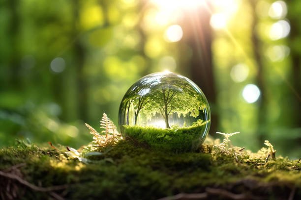 istockphoto-1488944909-612x612.jpg