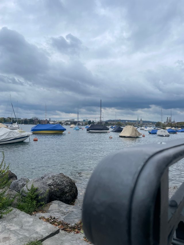IMG_8940.jpeg