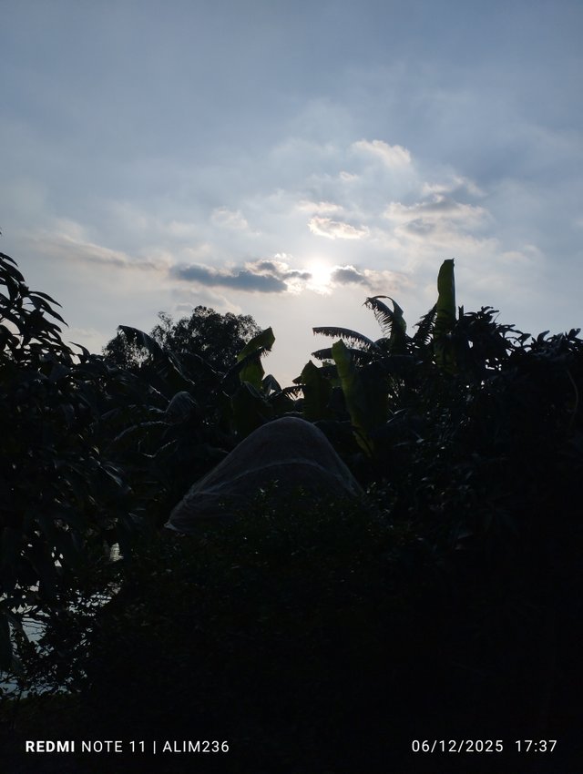 IMG_20250612_173735.jpg