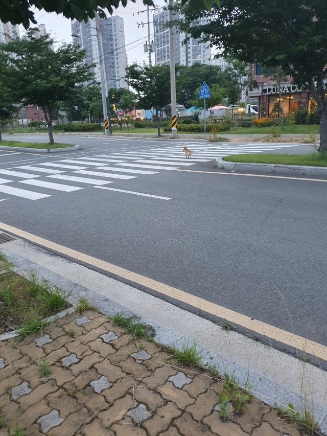 KakaoTalk_20190705_073037558_03.jpg