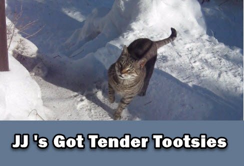 JJ with tender tootsies.jpg