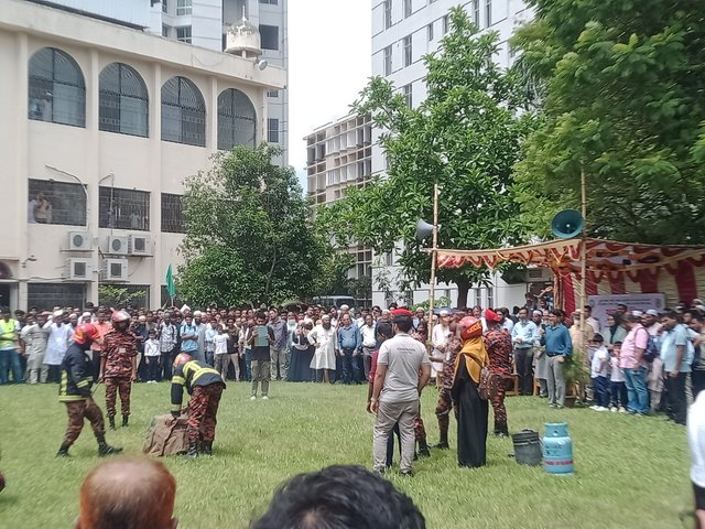 IMG20250629104554.jpg