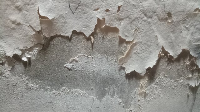 IMG20221023103112.jpg