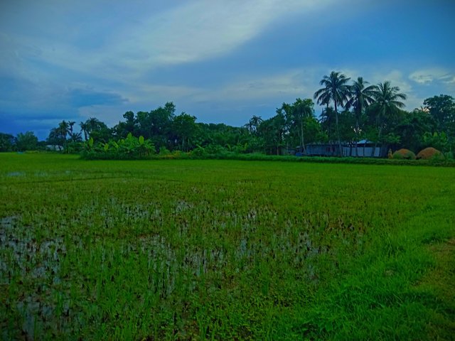 IMG_20250616_201836.jpg