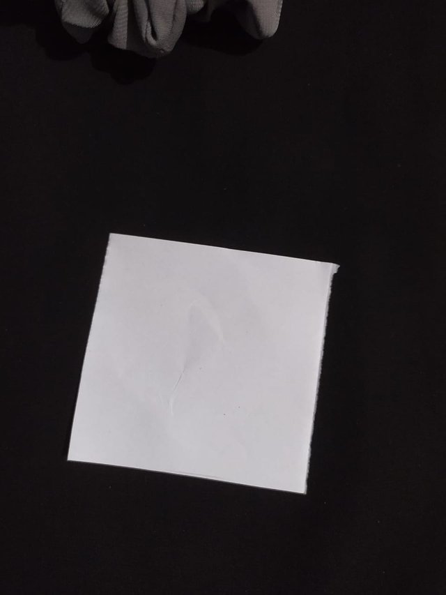 1000008391.jpg