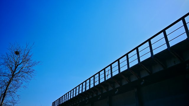 IMG_20250318_135009.jpg