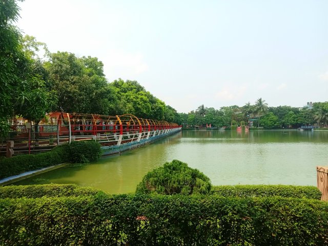 20250505_131114.jpg