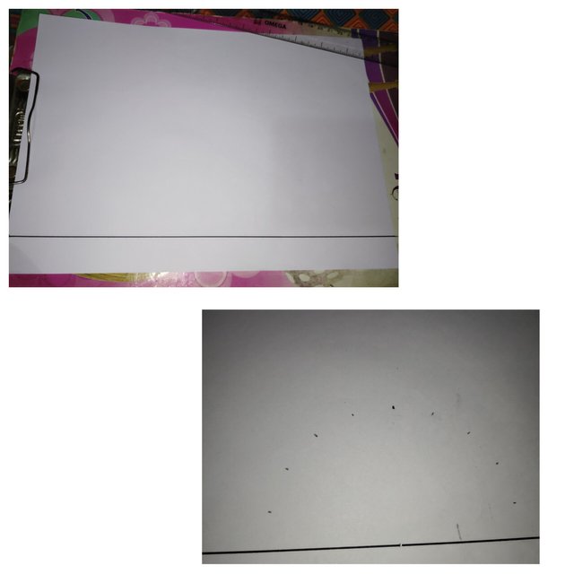 1000051571.jpg