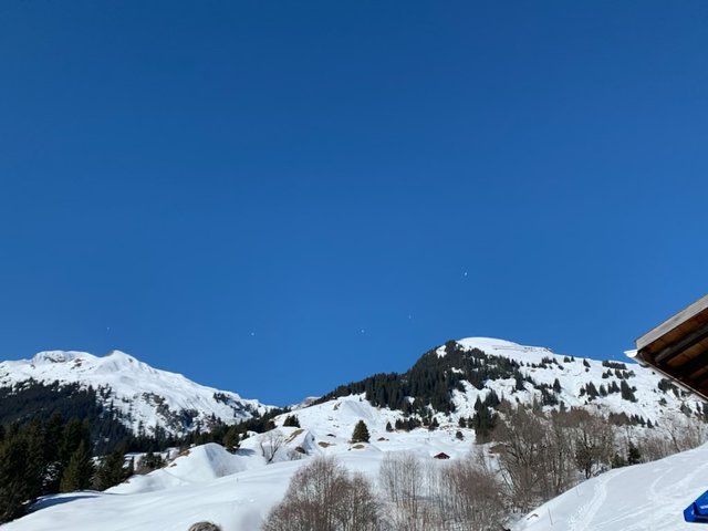 IMG0788.JPG