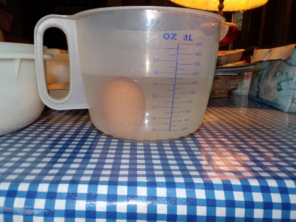 Waterglass eggs - water testing eggs on end2 crop February 2020.jpg