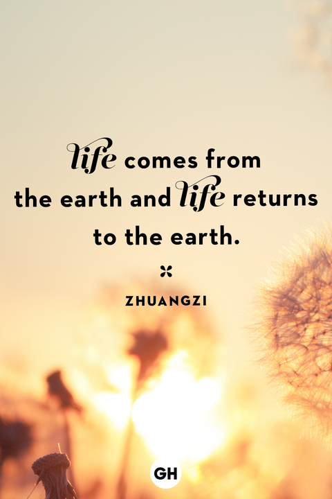 life-quotes-zhuangzi-1665420803.png