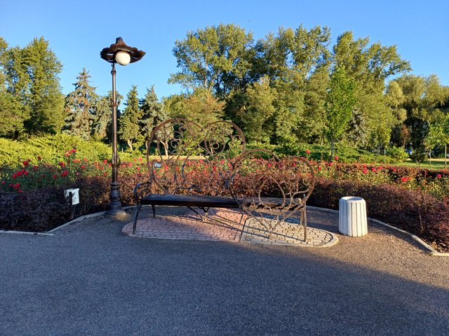 20250825_071050.jpg