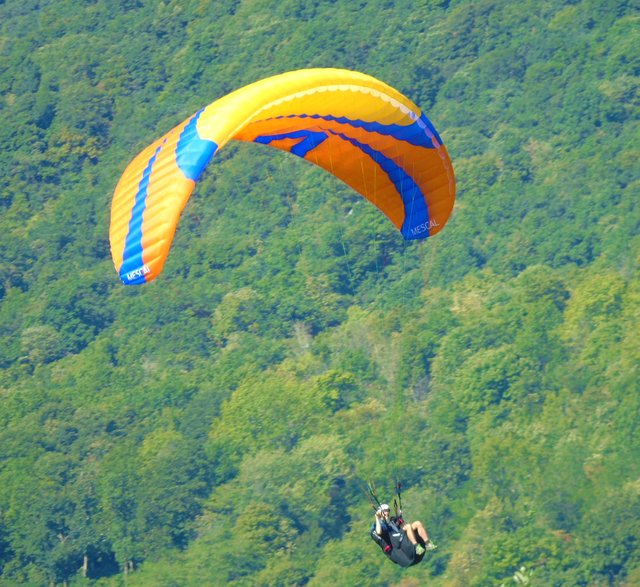 1parapentes (15).JPG