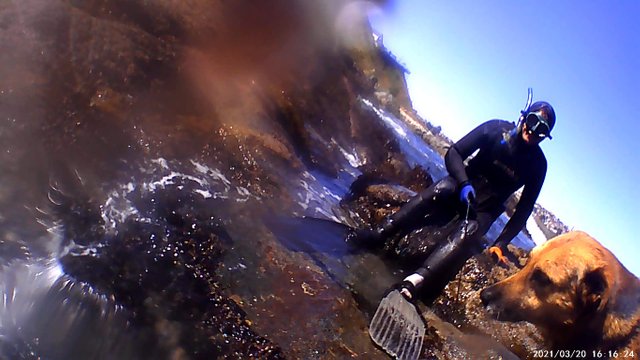 buceo8.jpg