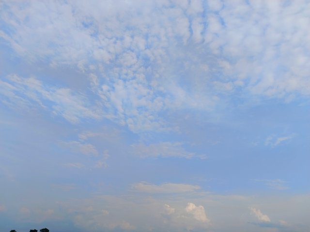 1000093020.jpg