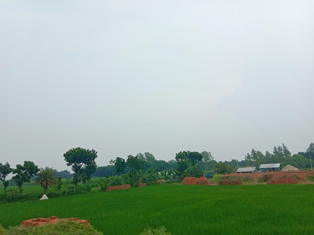 IMG_20250803_063957.jpg