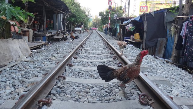 Railway line Old Bangkok Town - April 2020 395.jpg