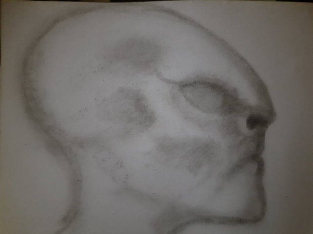 20250917_105350.jpg