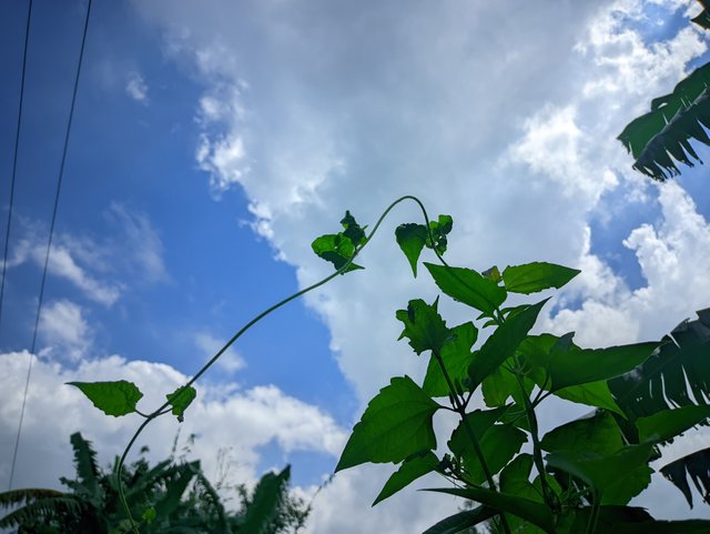 IMG_20250819_101058.jpg